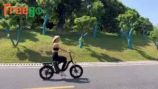 Freego New Electric Bikes 2022