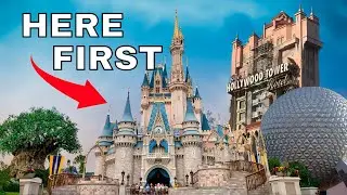 Disney World guide for NEWBIES that have never been.