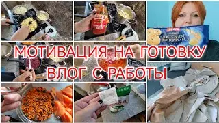 ВЛОГ /МНОГО ГОТОВКИ / ВЛОГ С РАБОТЫ / ПЫТАЮСЬ ЗАПОМНИТЬ ДИВАН.../ 11 августа 2024 г.