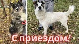 Ещё три якутских смертника спасены Ждём следующих