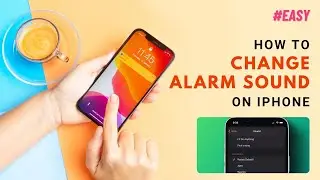 How to Change Alarm Sound on iPhone 2024 [Quick Tutorial]