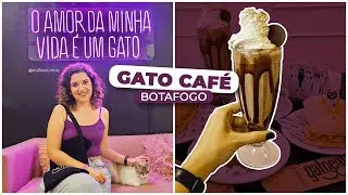 GATO, CAFÉ E RIO DE JANEIRO - Conhecemos o Gato Café em Botafogo | Bora experimentar #1