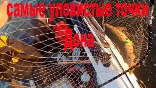 Самые уловистые точки Дона   ловля сазана судака чехони леща! ноябрь 2015