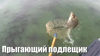 Прыгающий подлещик. Рыболовное шоу в Самаре