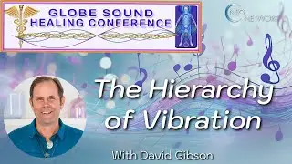 The Hierarchy of Vibration with David Gibson