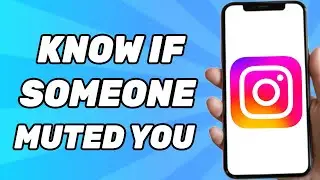 How to Know if Someone Muted You on Instagram (3 WAYS)