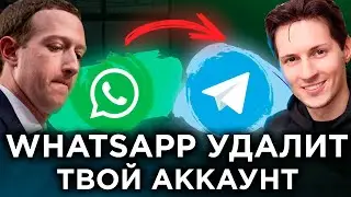 СРОЧНО СДЕЛАЙ! Как перенести чаты из WhatsApp в Телеграм