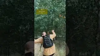 Выживалово выживалово 