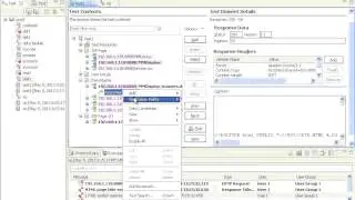 IBM RPT 6 Verification Points