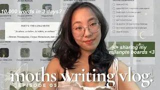 🍓 let’s write 10,000 words in 3 days! // writing vlog