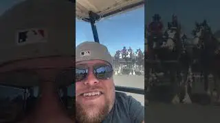 Riding in a horse parade!