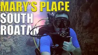 Scuba Diving Marys Place On SOUTH SIDE Roatan - Ep 108