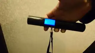 ВЗВЕШИВАЕМ КОТЕНКА