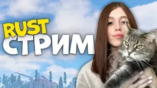 СТРИМ. Соло выживание на классике после ВАЙПА в  RUST / РАСТ