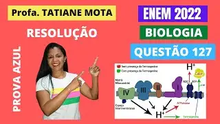 ✅[ENEM 2022] # BIOLOGIA # QUESTÃO 127 – RESPIRAÇÃO AERÓBICA: TERMOGENINA - Os ursos, por não