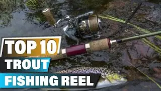 Best Reel for Trout Fishings In 2024 - Top 10 Reel for Trout Fishing Review