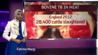 Infected cattle sold as meat for human consumption