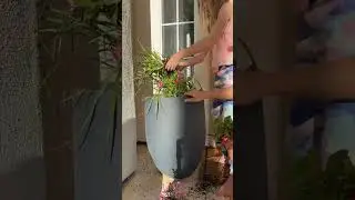 Flower Pot Makeover | Summer Flowers