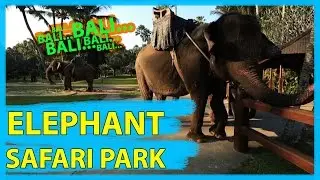 Elephant Safari Park Bali [FULL HD]