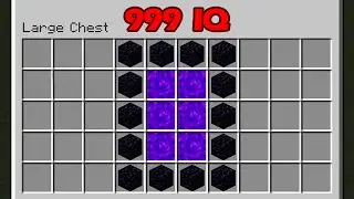 0 IQ vs 999 IQ Nether portal