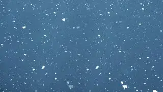 Snow Falling Video  Green screen free stock footage || Free Video Background Loop