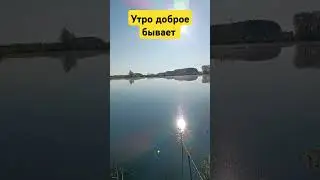 Природа. Утренняя рыбалка 