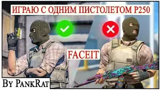 FACEIT 1.166 Elo | СТРИМ CS 2 (by PankRat) 2024-11-01