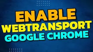 Enable WebTransport Developer Mode In Google Chrome