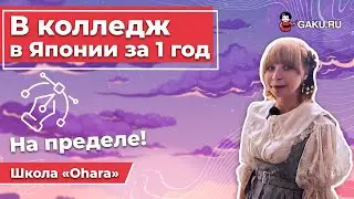 Как поступить в колледж в Японии? Уехать в Японию / русские студенты в Японии