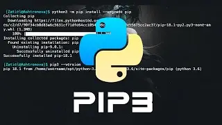 Pip Y Python 3 En Linux