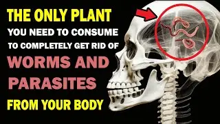 2 Tablespoons Will Expel All Worms and Parasites from Your Body