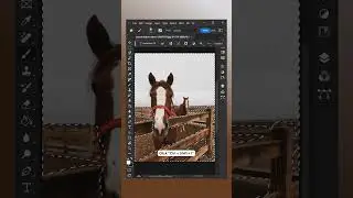 Remove Fence Using AI in Photoshop⚡️