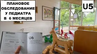 U5 // ПЛАНОВОЕ ОБСЛЕДОВАНИЕ МАЛЫША В 6 МЕСЯЦЕВ У ДЕТСКОГО ВРАЧА // РОСТ // ВЕС