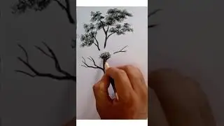 pencil drawing easy/tree drawing by charcoal pencil/