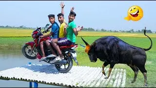 Must Watch New Special Comedy Video 2024 😎Totally Amazing Comedy Episode 187 by @mamafunltd