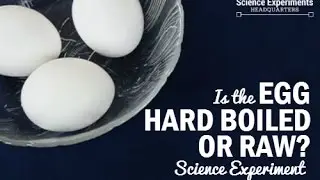 How to Tell a Hard Boiled Egg from a Raw Egg Science Experiment