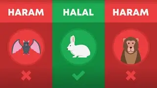 Halal and Haram Animals in Islam