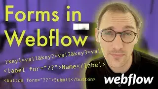 Forms in Webflow: Getting the Most Out Of Them