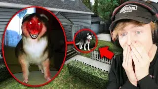 If You See EVIL SMILE DOG Outside Your House... RUN AWAY FAST!! (Garry's Mod Sandbox)