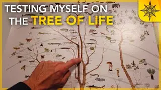 Testing My Knowledge on the Tree of Life