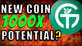 Green Trust Token (SECRETS REVEALED) 1000x Potential? SHOULD YOU BUY?