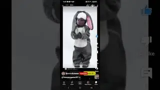 ‪@YourLocalEgyptianKid‬
