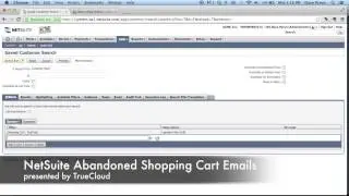 Reducing NetSuite Cart Abandonment via Email Marketing