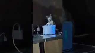 Привет из дома от Плеяды