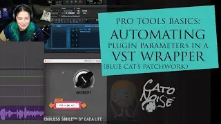 Pro Tools Basics: Automating VST Plugins in Blue Cats PatchWork