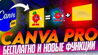 Canva Pro: Новые функции и бесплатный доступ!