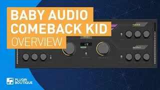 Comeback Kid by Baby Audio | Analog Flavour Delay VST Plugin | Tutorial & Review of Main Features