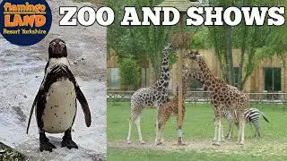 FLAMINGO LAND ZOO & SHOWS