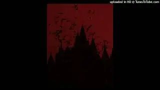 (FREE) KISA x 800pts x amirpr0d type beat - 