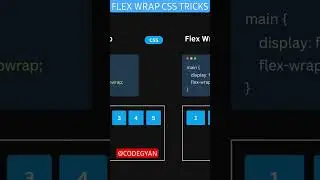 Flex wrap CSS Tricks 